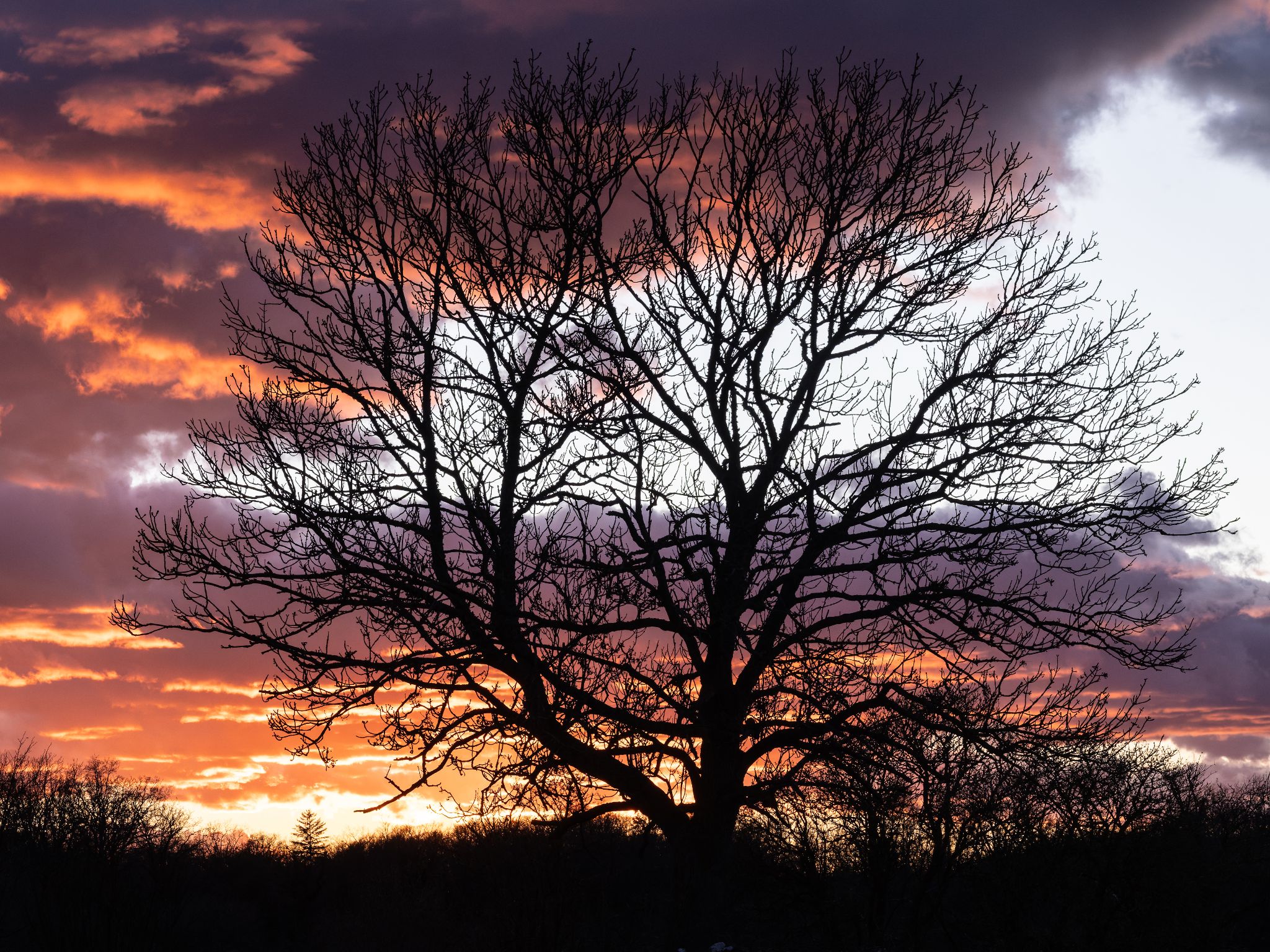 001 260406 1945 J  2JR0025 DxO DeepPRIME 3